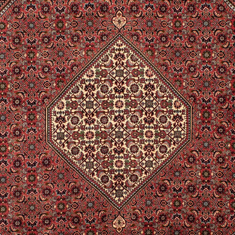 Persisk tæppe - Bijar - 308 x 200 cm - lysrød