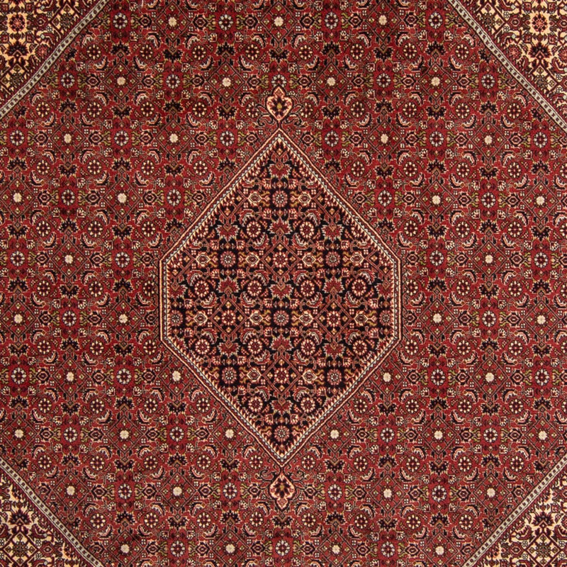 Persisk tæppe - Bijar - 345 x 247 cm - brun