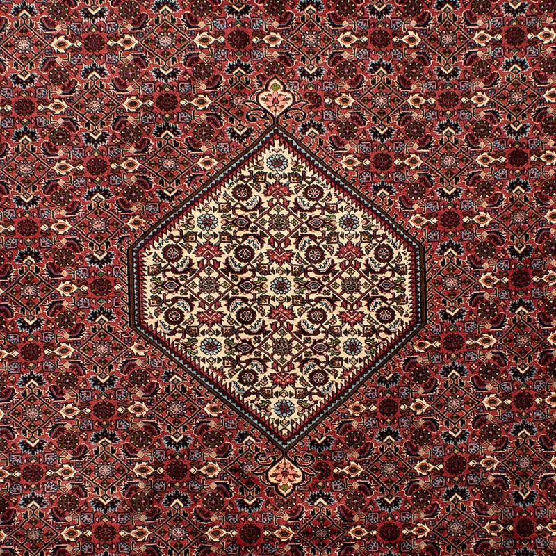 Persisk tæppe - Bijar - 290 x 203 cm - brun