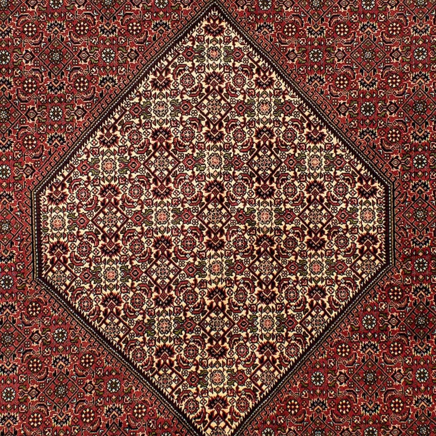Persisk tæppe - Bijar - 265 x 171 cm - brun