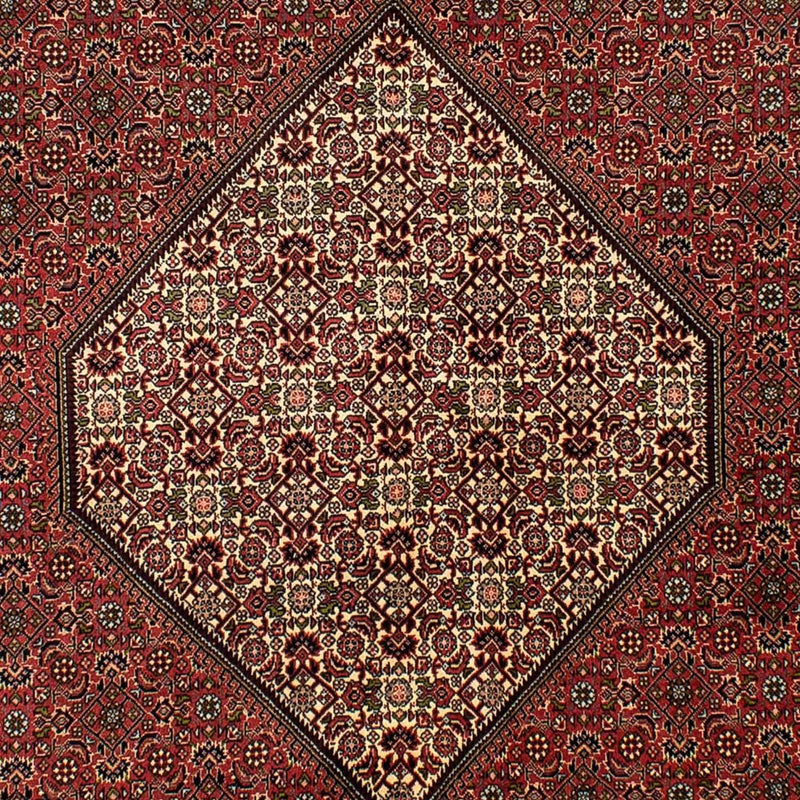 Persisk tæppe - Bijar - 265 x 171 cm - brun