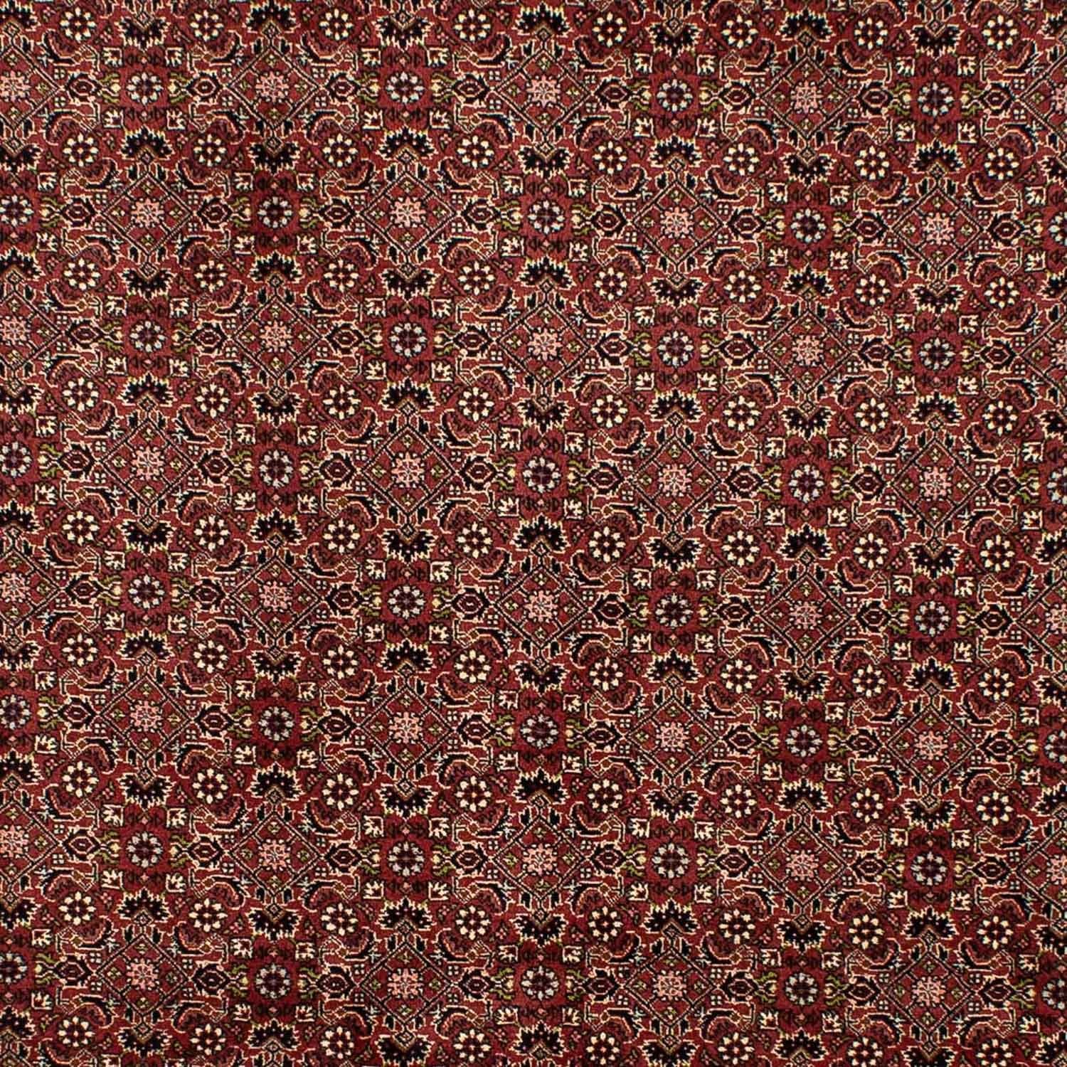 Persisk tæppe - Bijar - 292 x 198 cm - brun