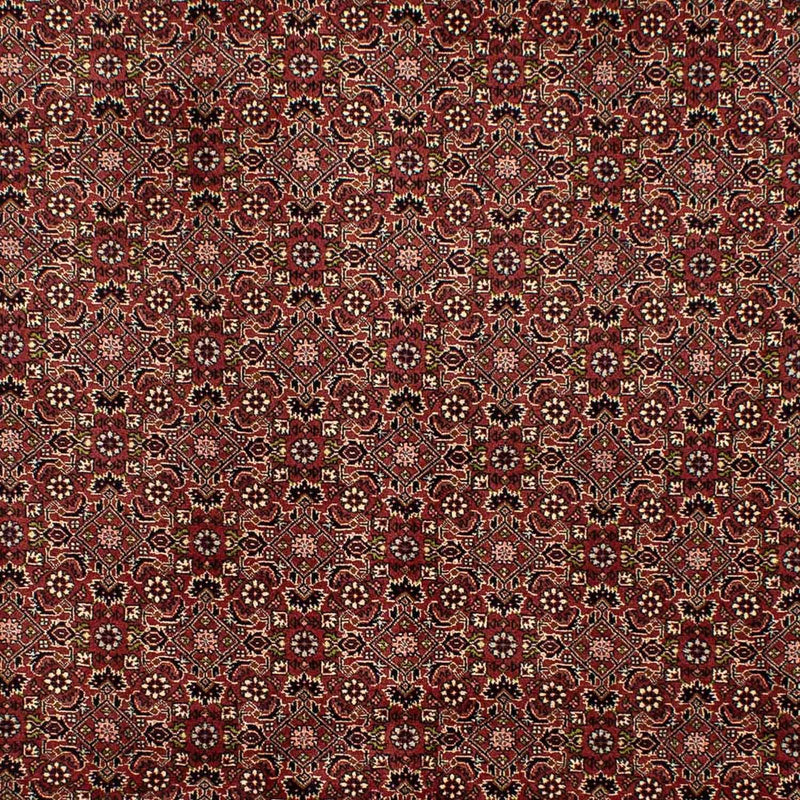 Persisk tæppe - Bijar - 292 x 198 cm - brun