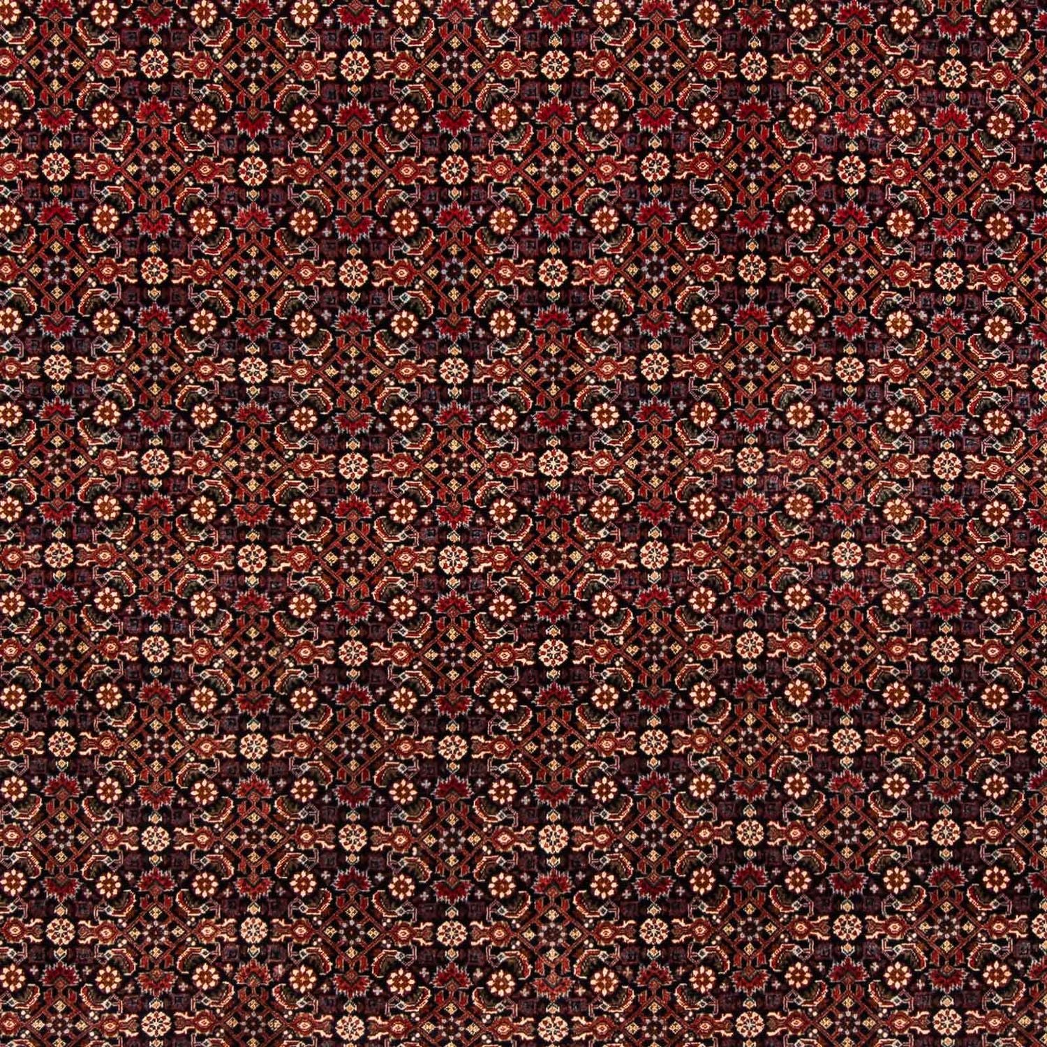 Persisk tæppe - Bijar - 248 x 205 cm - mørkerød