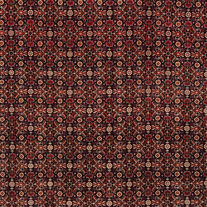 Persisk tæppe - Bijar - 248 x 205 cm - mørkerød