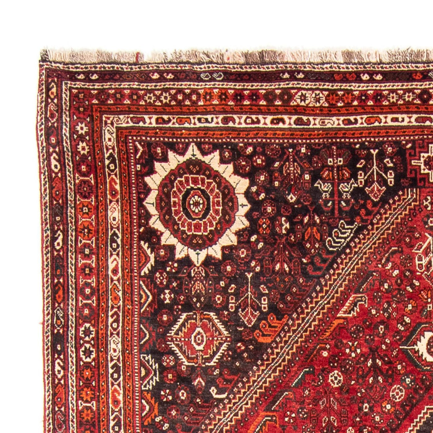 Qashqai Tæppe 328x215cm - Persisk tæppe