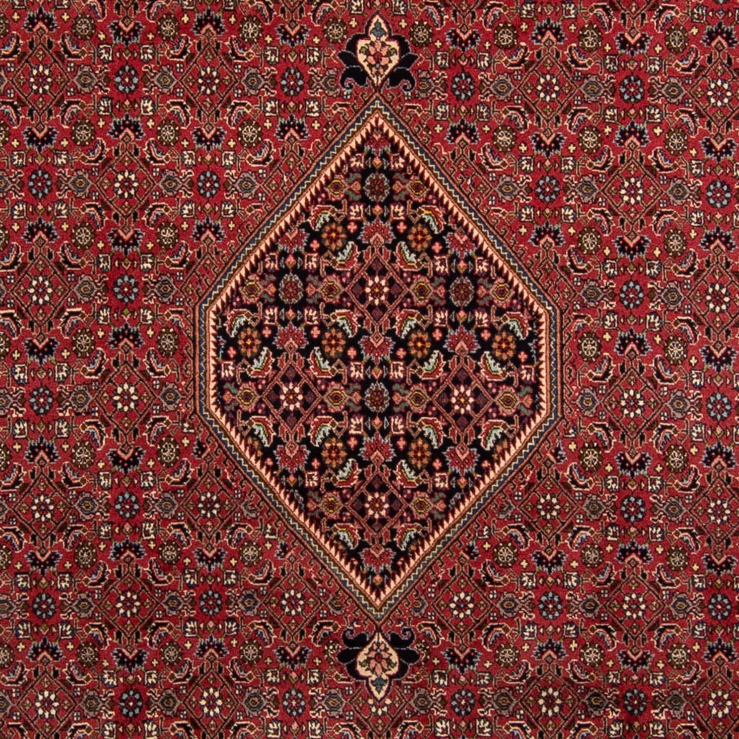 Persisk tæppe - Bijar - 343 x 248 cm - brun
