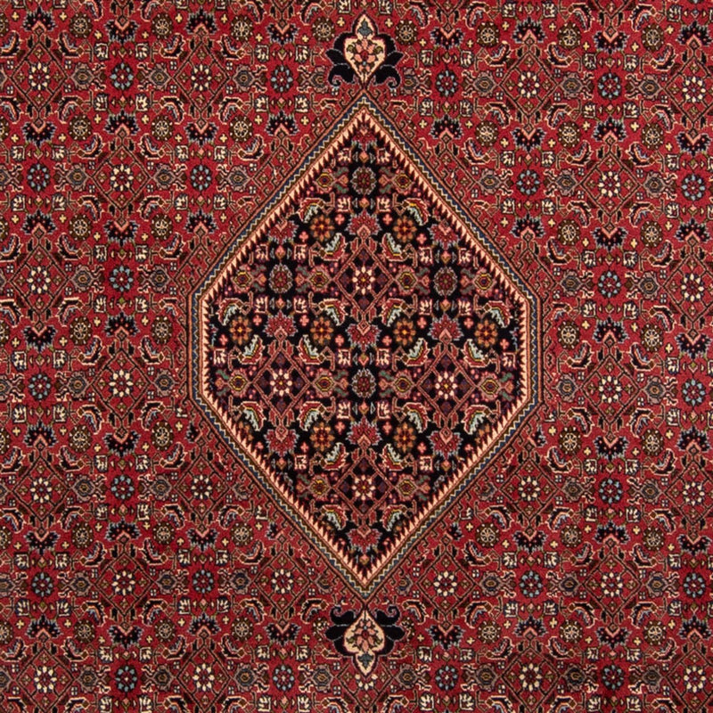 Persisk tæppe - Bijar - 343 x 248 cm - brun