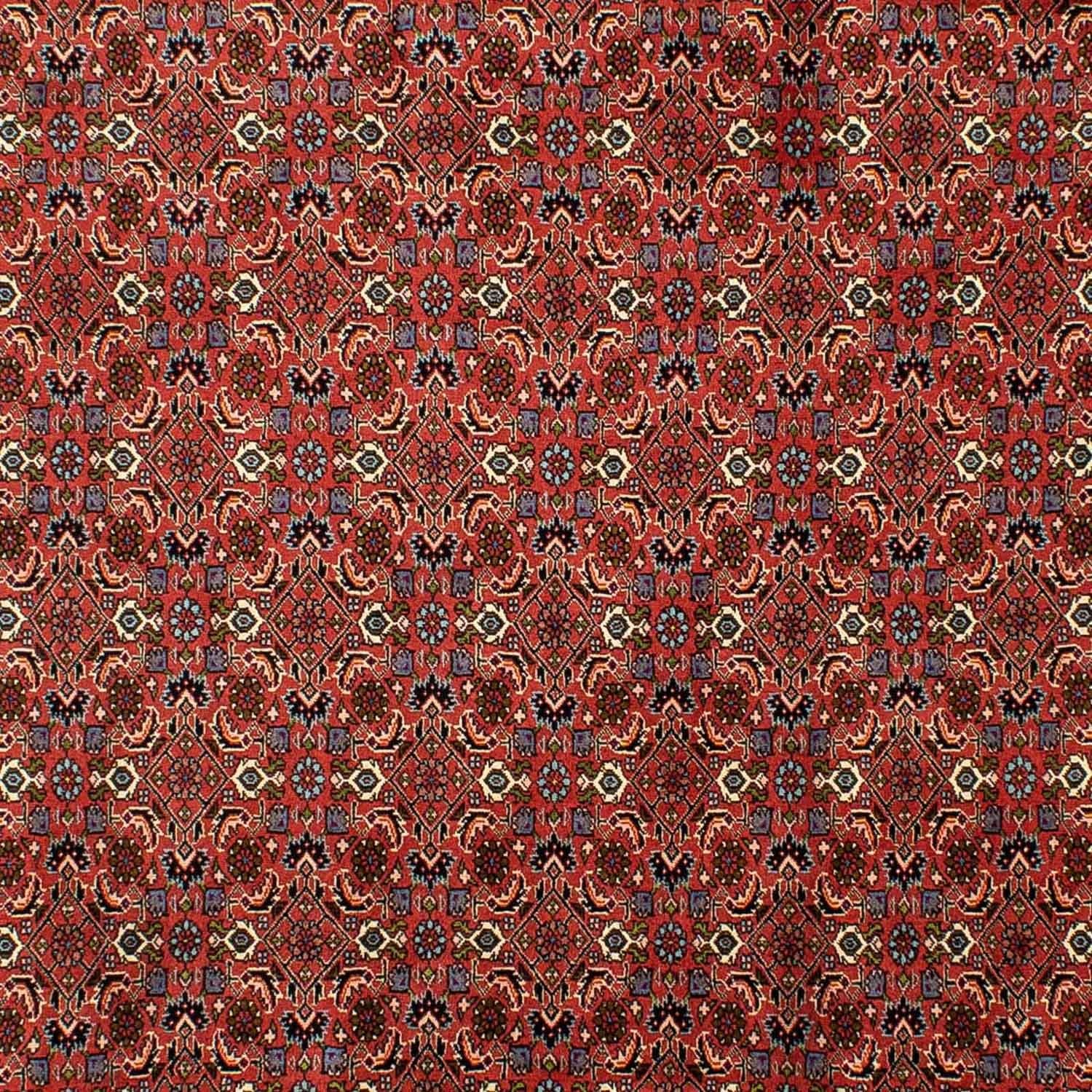 Persisk tæppe - Bijar - 290 x 200 cm - mørkerød