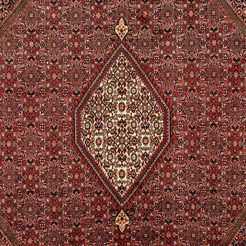 Persisk tæppe - Bijar - 305 x 202 cm - brun