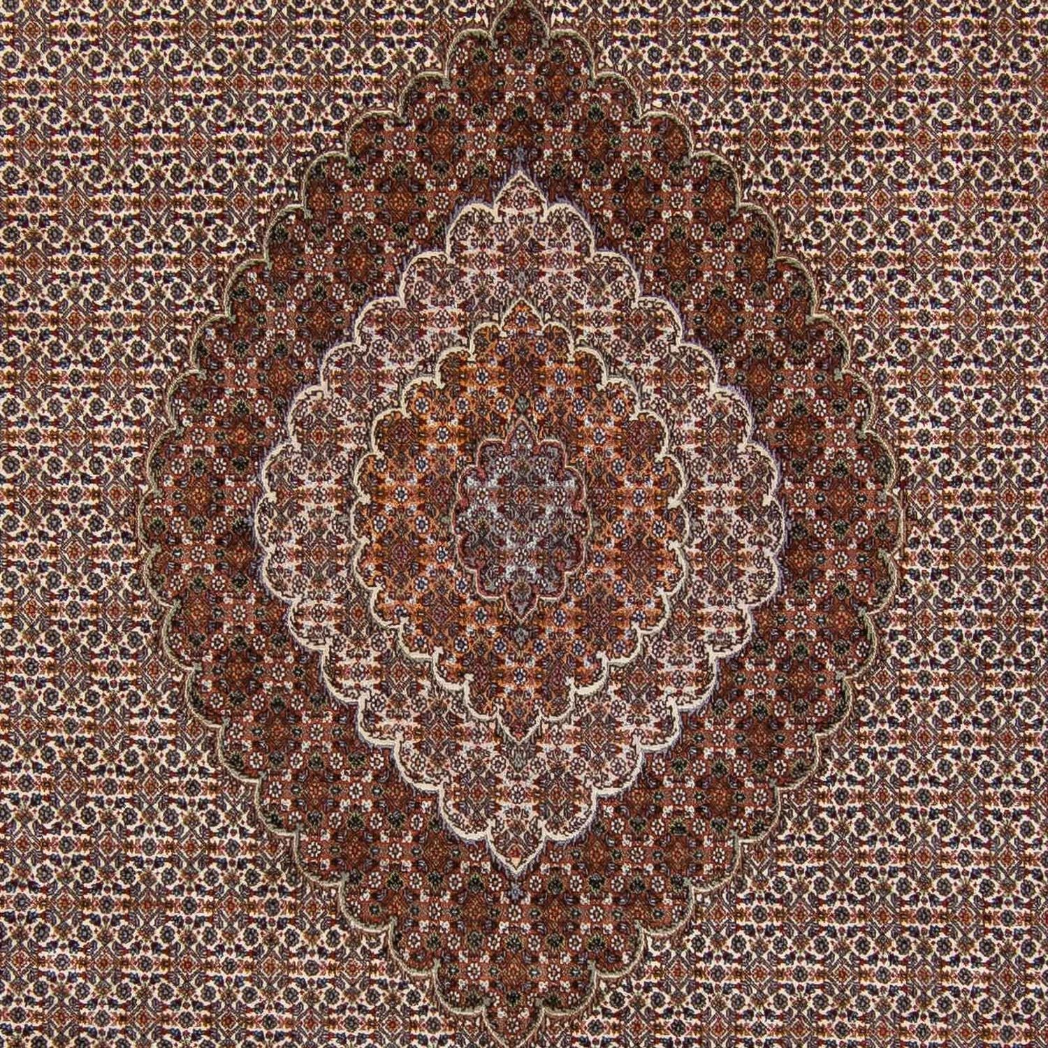 Persisk tæppe - Tabriz - 341 x 251 cm - mørkebrun