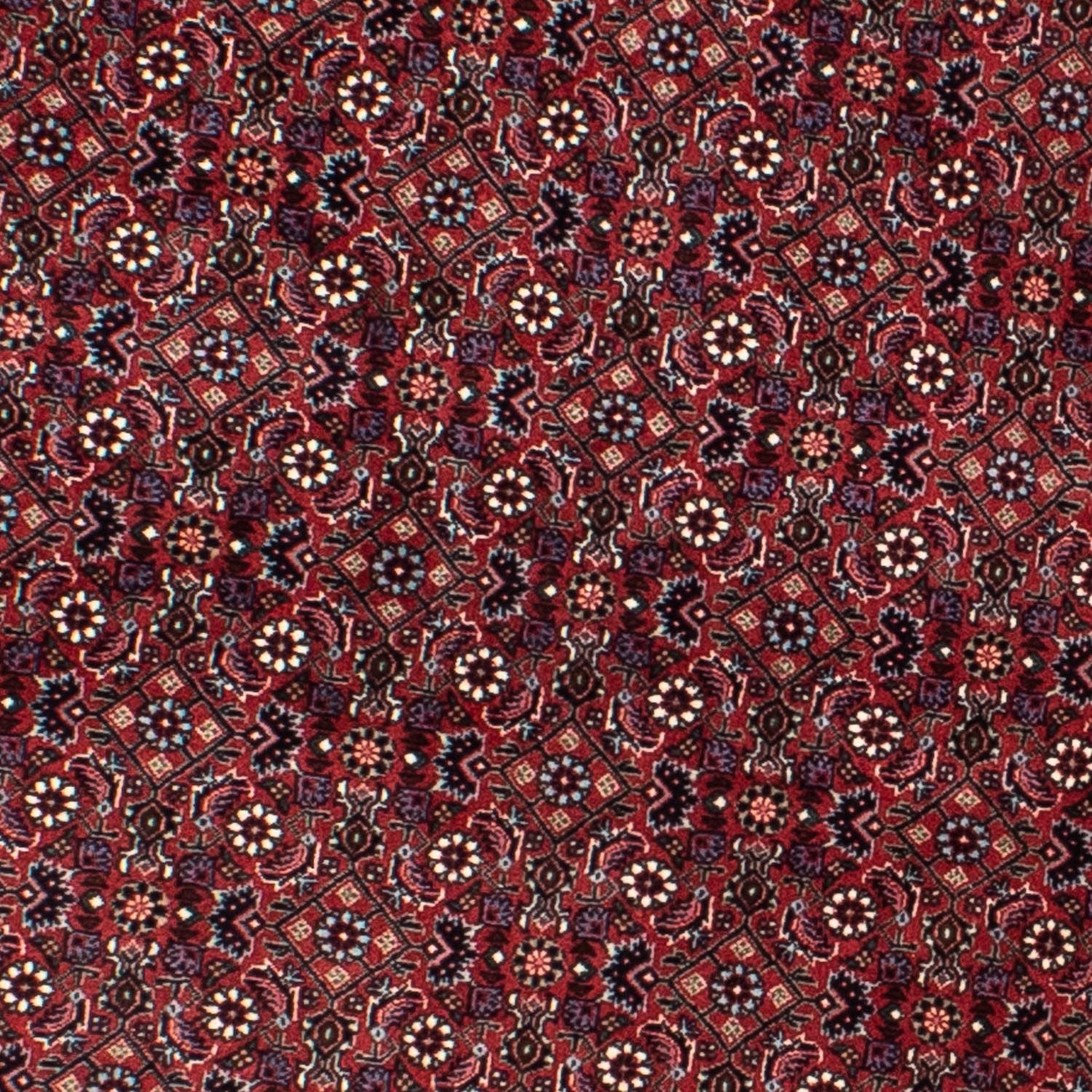 Persisk tæppe - Bijar rundt  - 160 x 160 cm - mørkerød