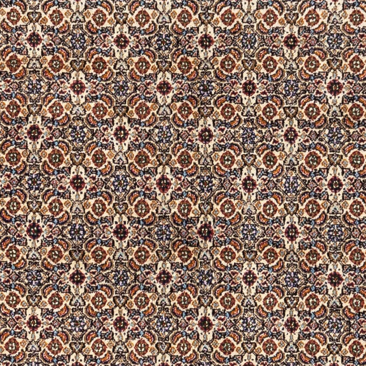 Persisk tæppe - Classic - 234 x 174 cm - beige
