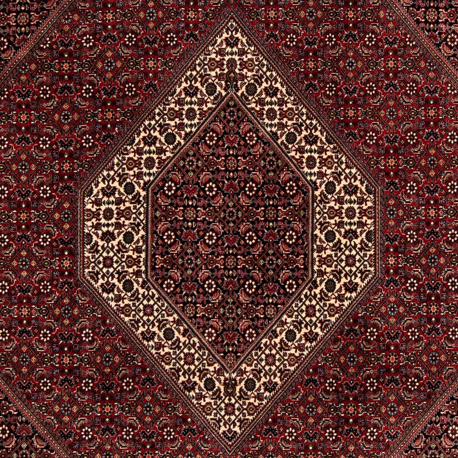 Persisk tæppe - Bijar - 263 x 203 cm - mørkerød