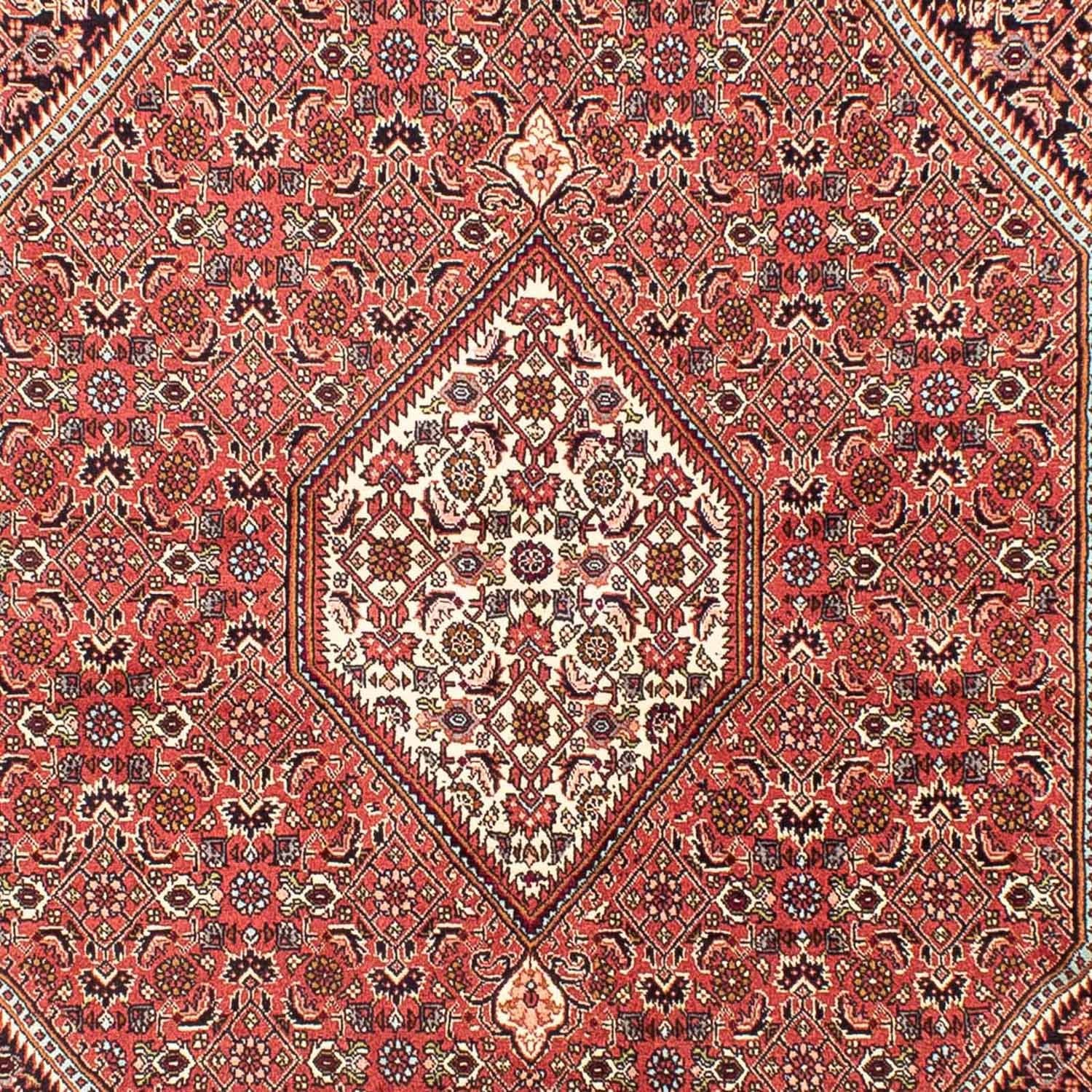 Persisk tæppe - Bijar - 258 x 174 cm - lysrød