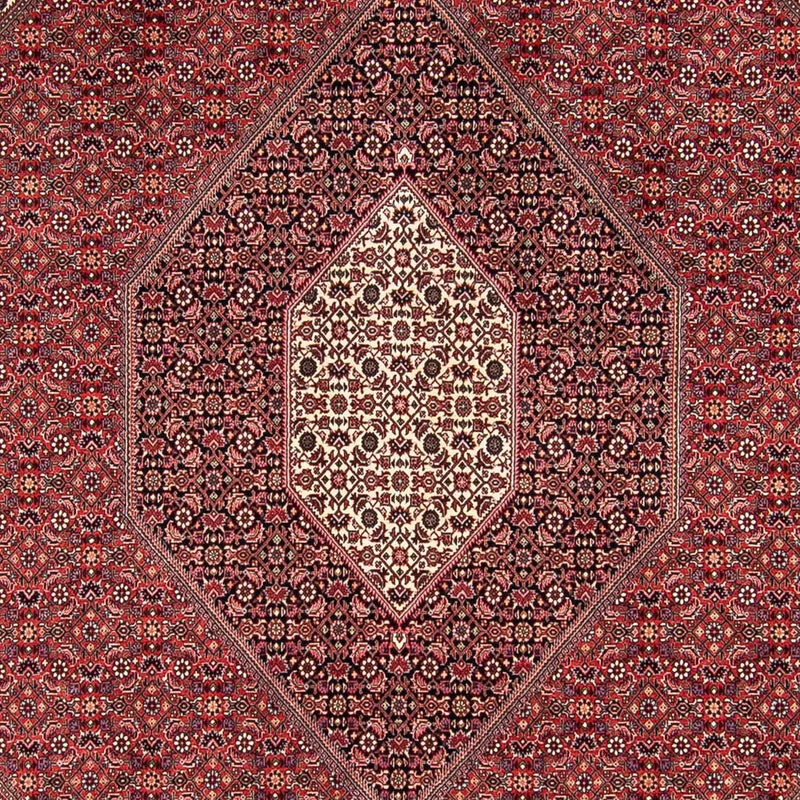 Persisk tæppe - Bijar - 295 x 251 cm - mørkerød