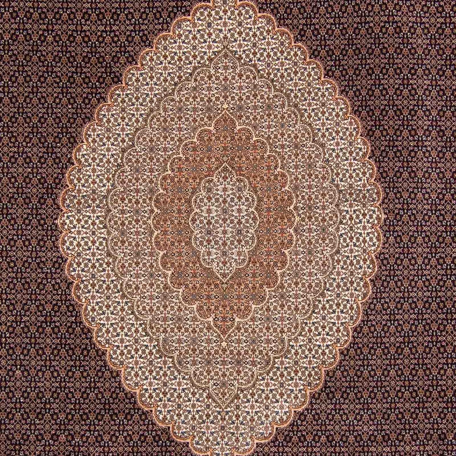 Persisk tæppe - Tabriz - 352 x 252 cm - lys brun