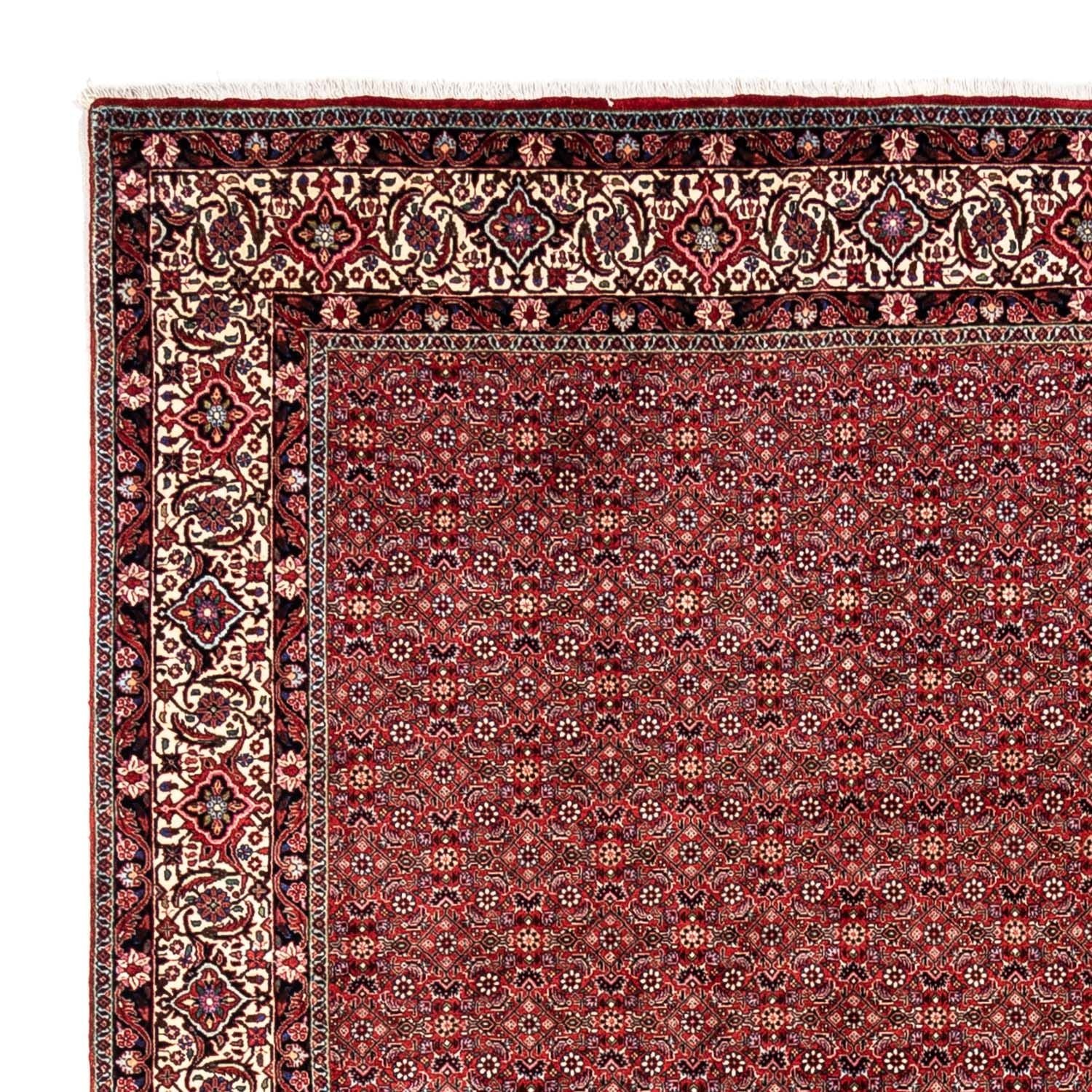 Persisk tæppe - Bijar - Royal - 340 x 248 cm - rød