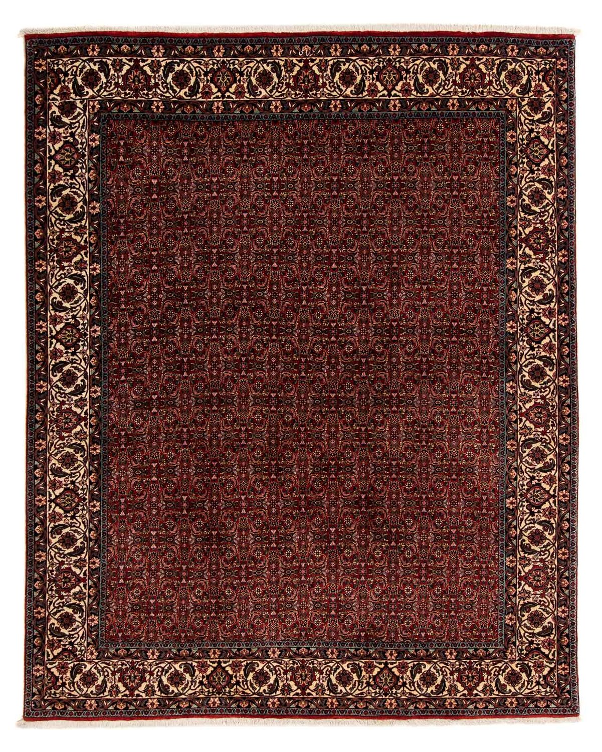 Persisk tæppe - Bijar - 249 x 202 cm - mørkerød