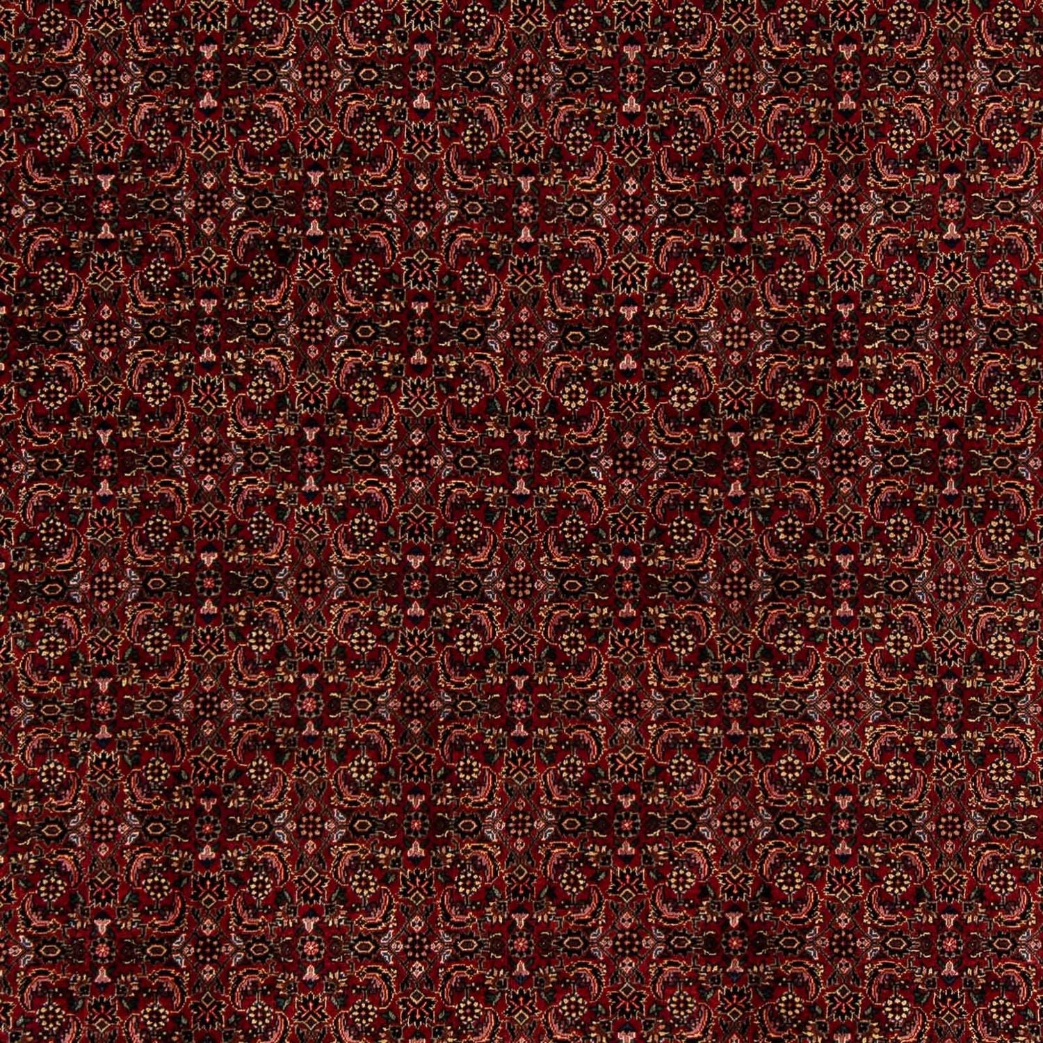 Persisk tæppe - Bijar - 249 x 202 cm - mørkerød