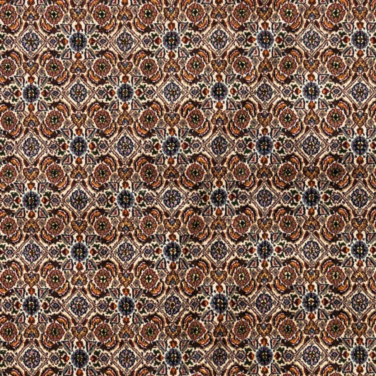 Persisk tæppe - Classic - 242 x 170 cm - beige