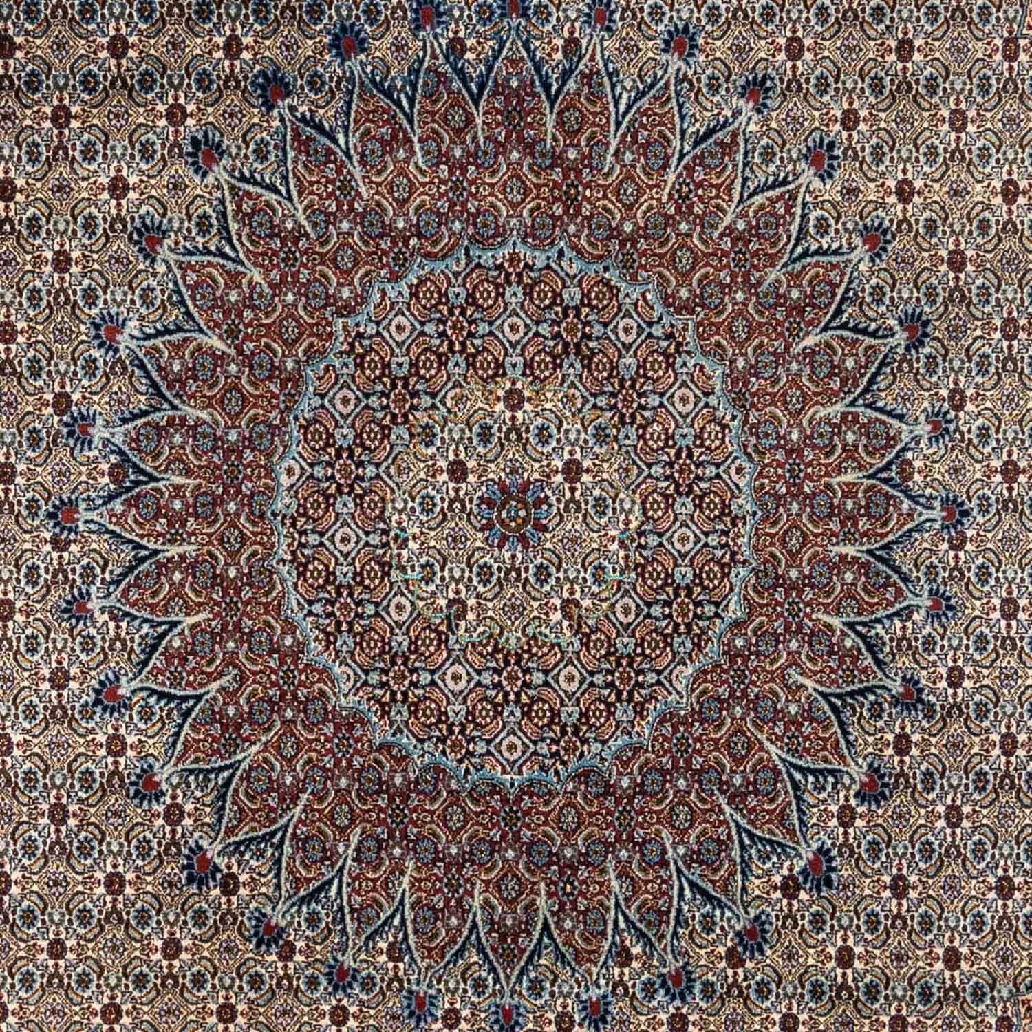Persisk tæppe - Classic - 350 x 248 cm - beige