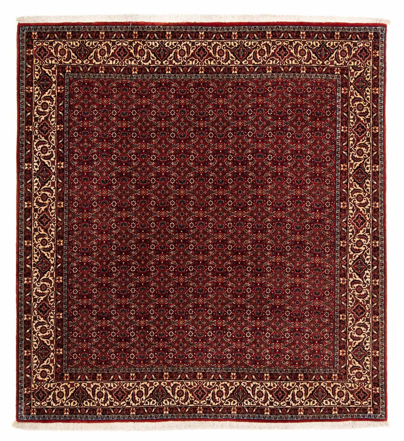 Persisk tæppe - Bijar firkantet  - 207 x 200 cm - mørkerød