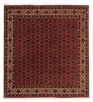 Persisk tæppe - Bijar firkantet  - 207 x 200 cm - mørkerød