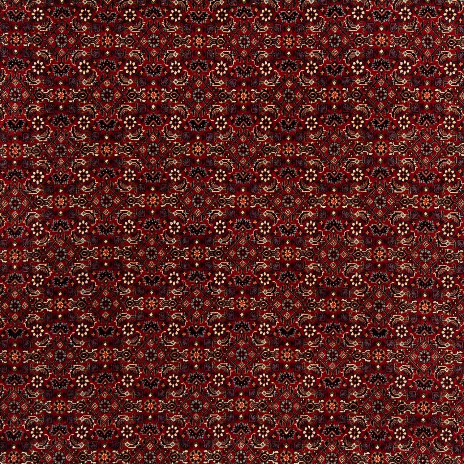 Persisk tæppe - Bijar firkantet  - 207 x 200 cm - mørkerød