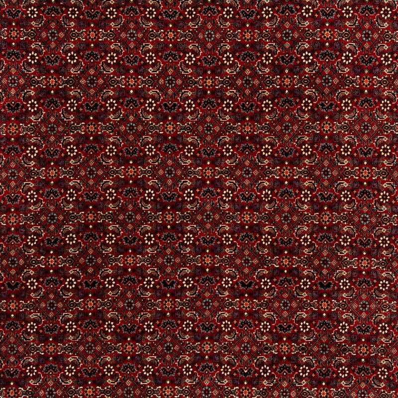 Persisk tæppe - Bijar firkantet  - 207 x 200 cm - mørkerød