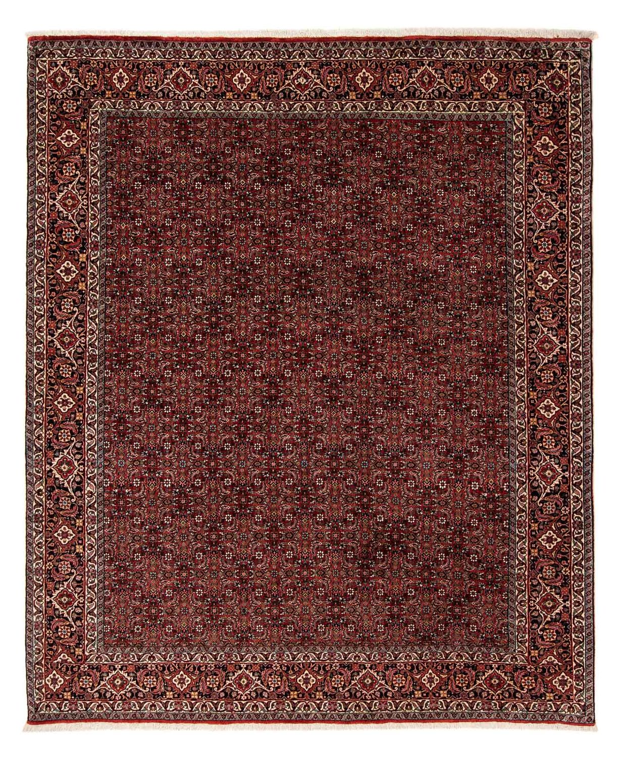 Persisk tæppe - Bijar - 242 x 202 cm - mørkerød