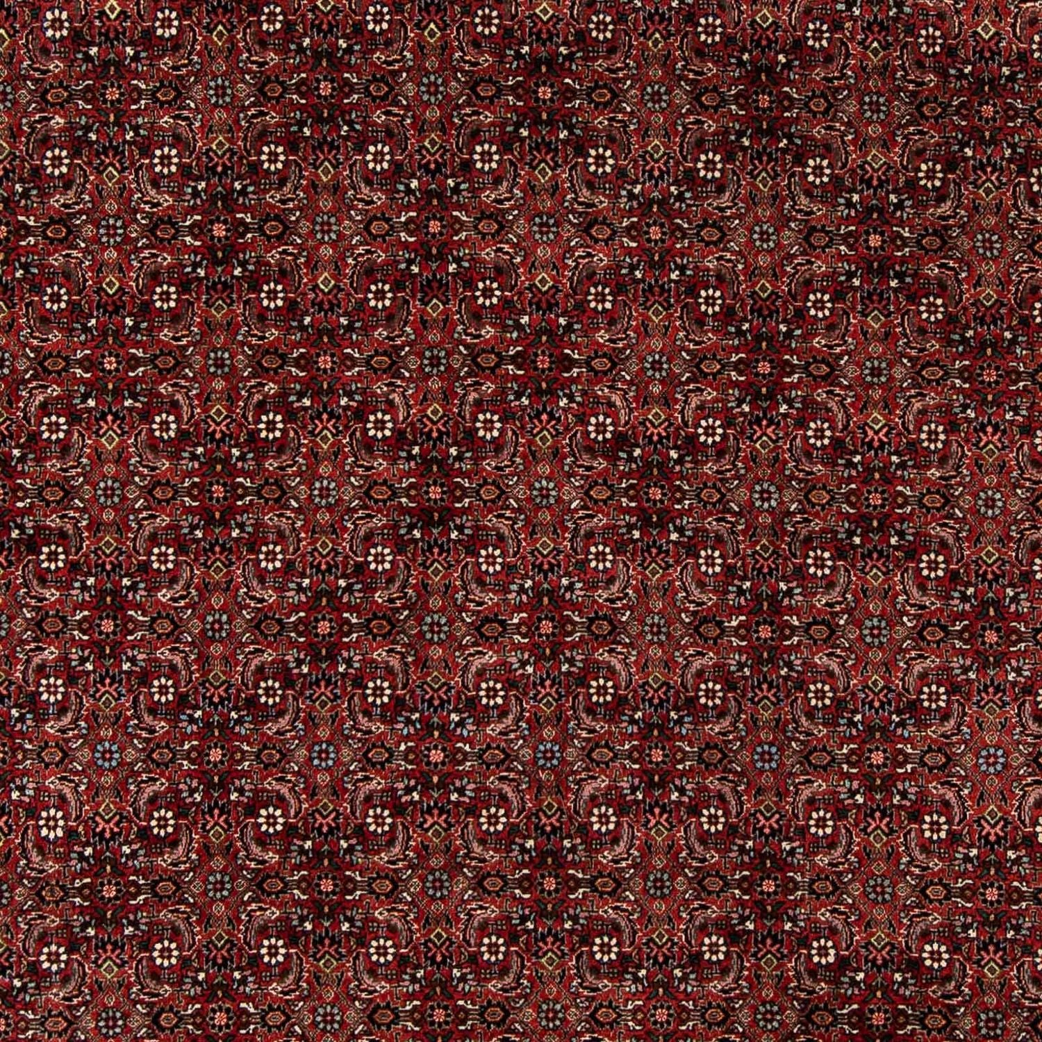 Persisk tæppe - Bijar - 242 x 202 cm - mørkerød