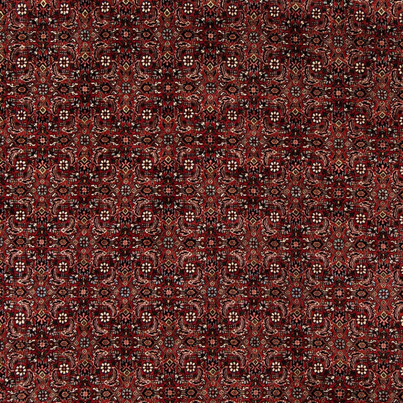Persisk tæppe - Bijar - 242 x 202 cm - mørkerød