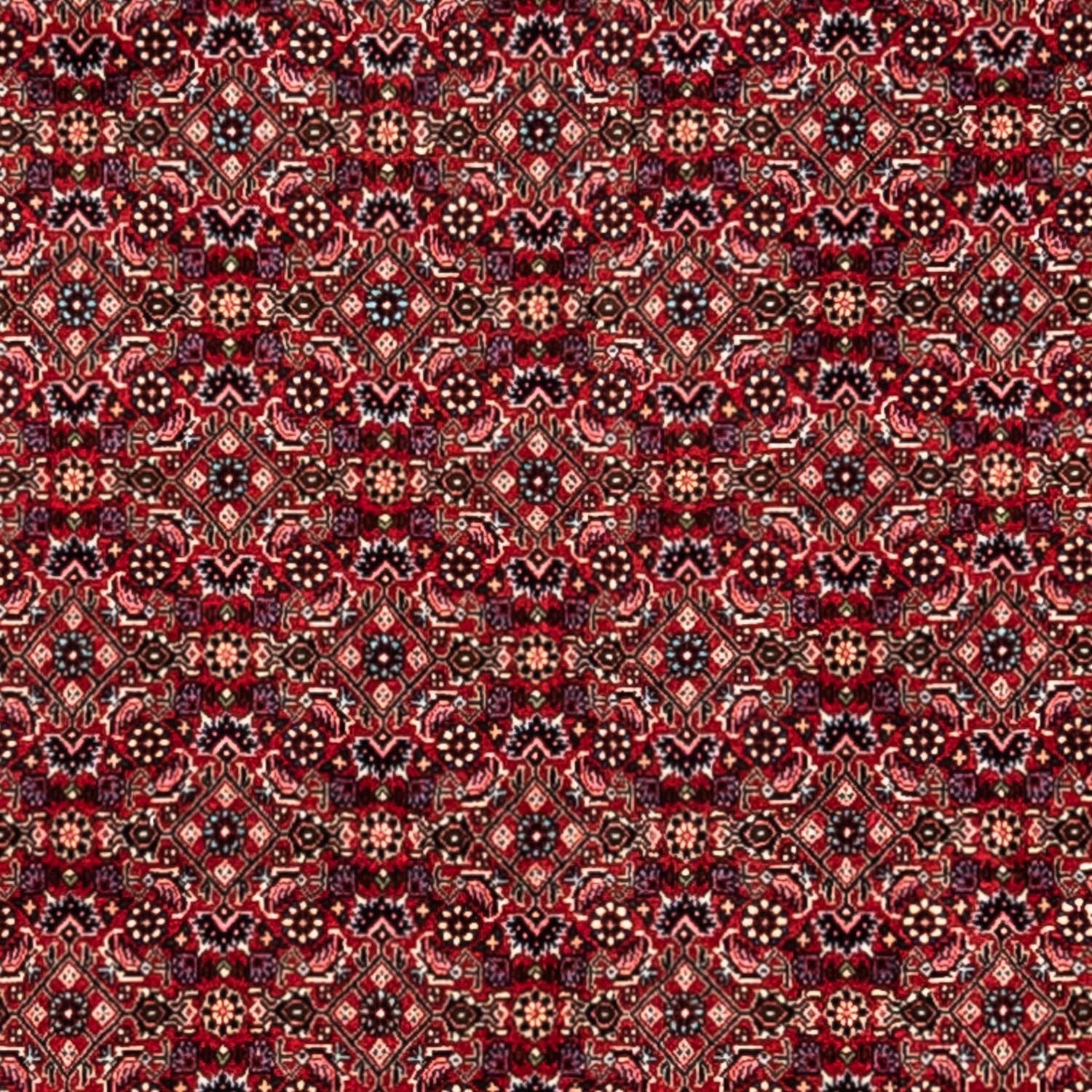 Persisk tæppe - Bijar - Royal - 337 x 252 cm - rød