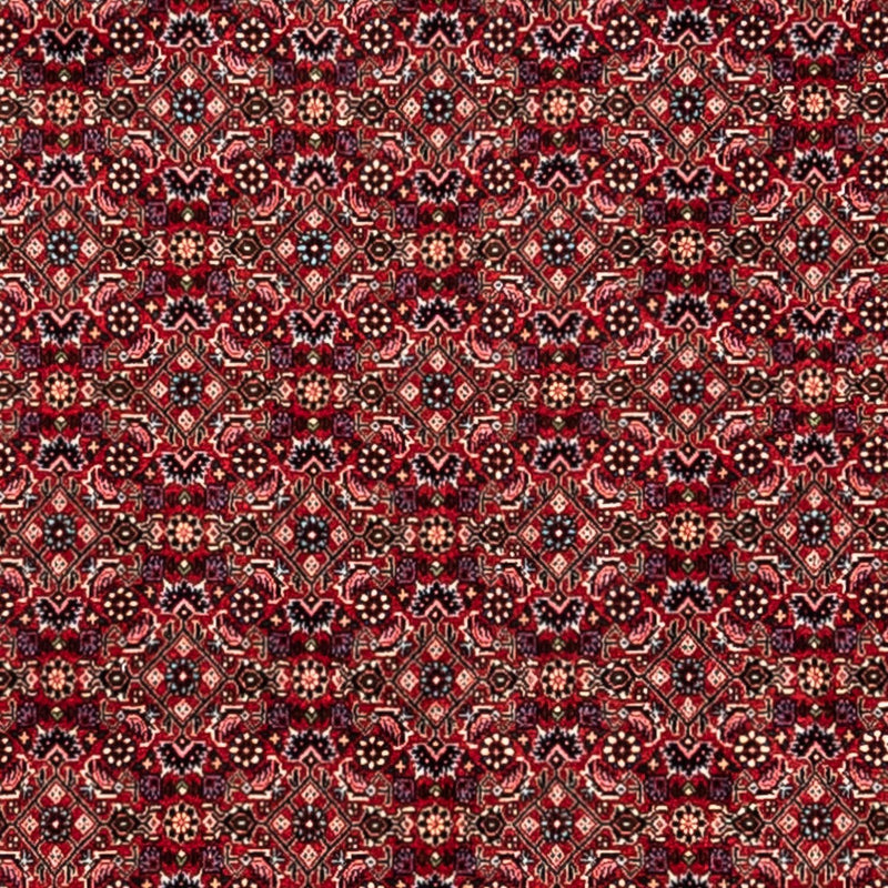 Persisk tæppe - Bijar - Royal - 337 x 252 cm - rød