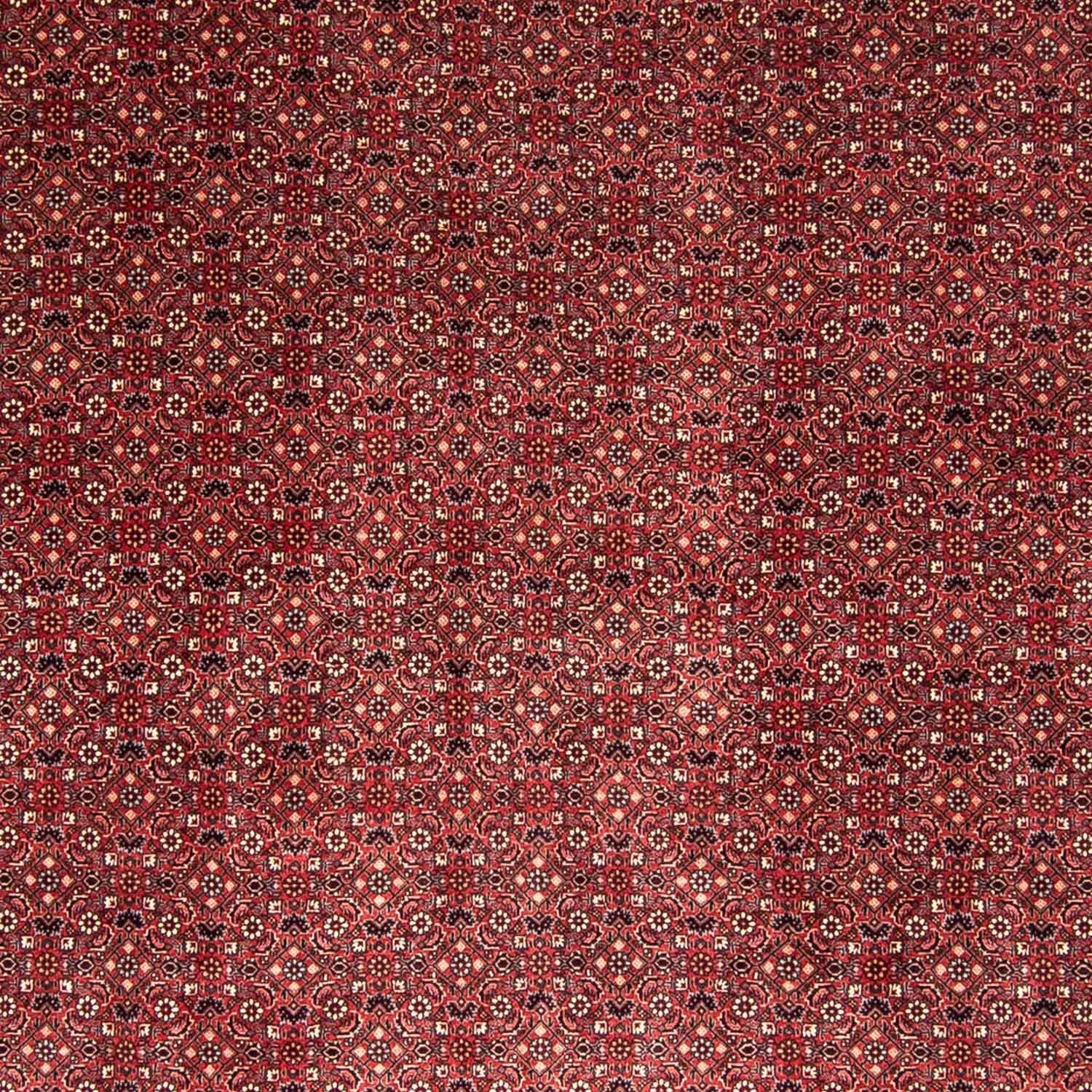 Persisk tæppe - Bijar - 338 x 258 cm - rød