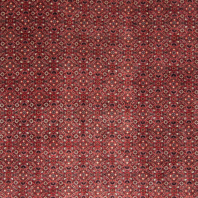 Persisk tæppe - Bijar - 338 x 258 cm - rød