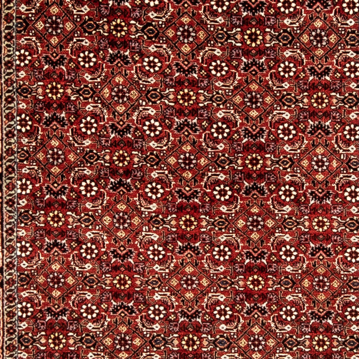 Løber Persisk tæppe - Bijar - 298 x 80 cm - mørkerød