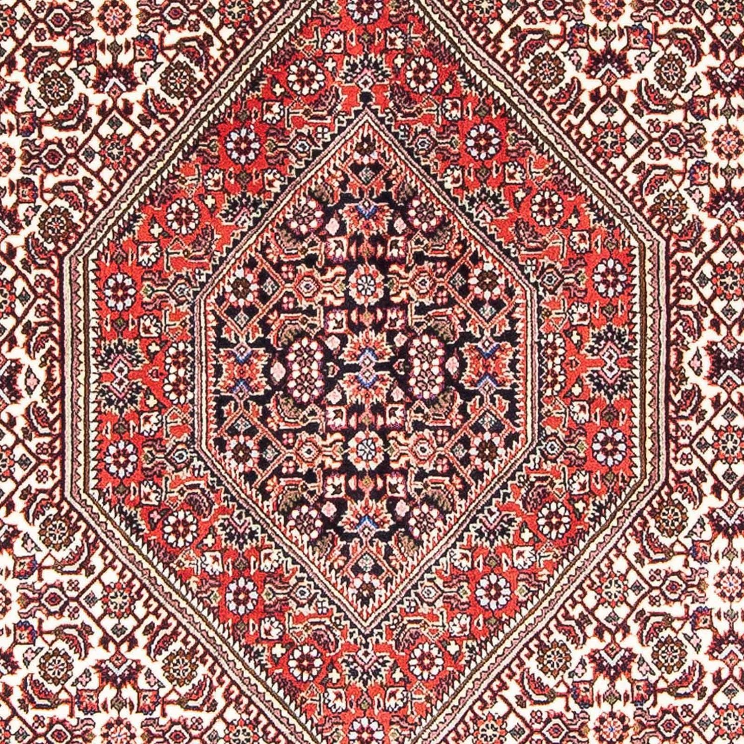 Persisk tæppe - Bijar - 173 x 107 cm - lysrød