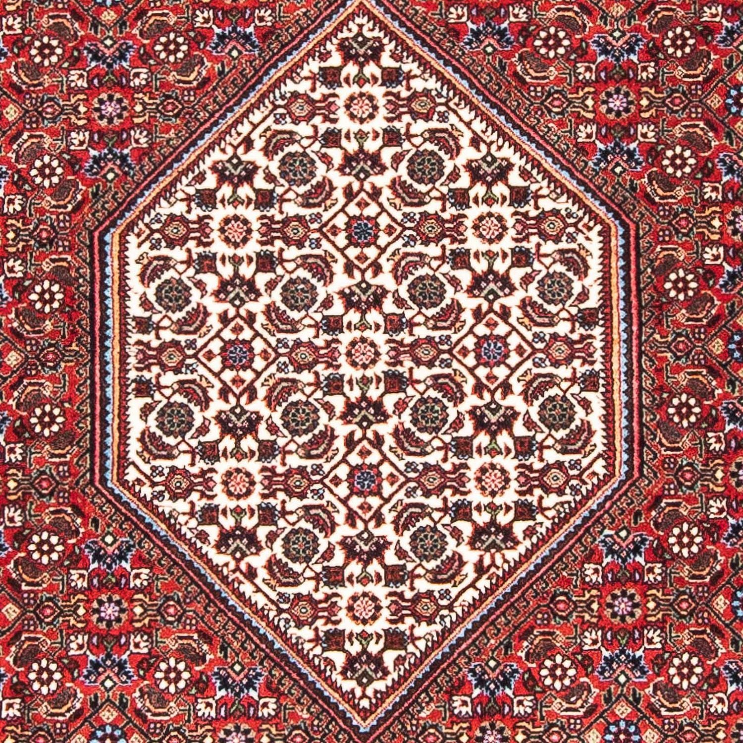 Persisk tæppe - Bijar - 169 x 108 cm - rød