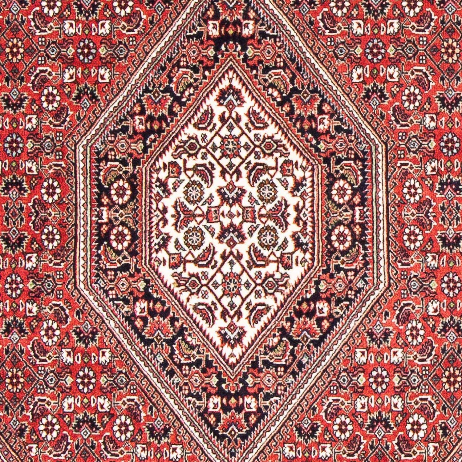 Persisk tæppe - Bijar - 176 x 110 cm - rød