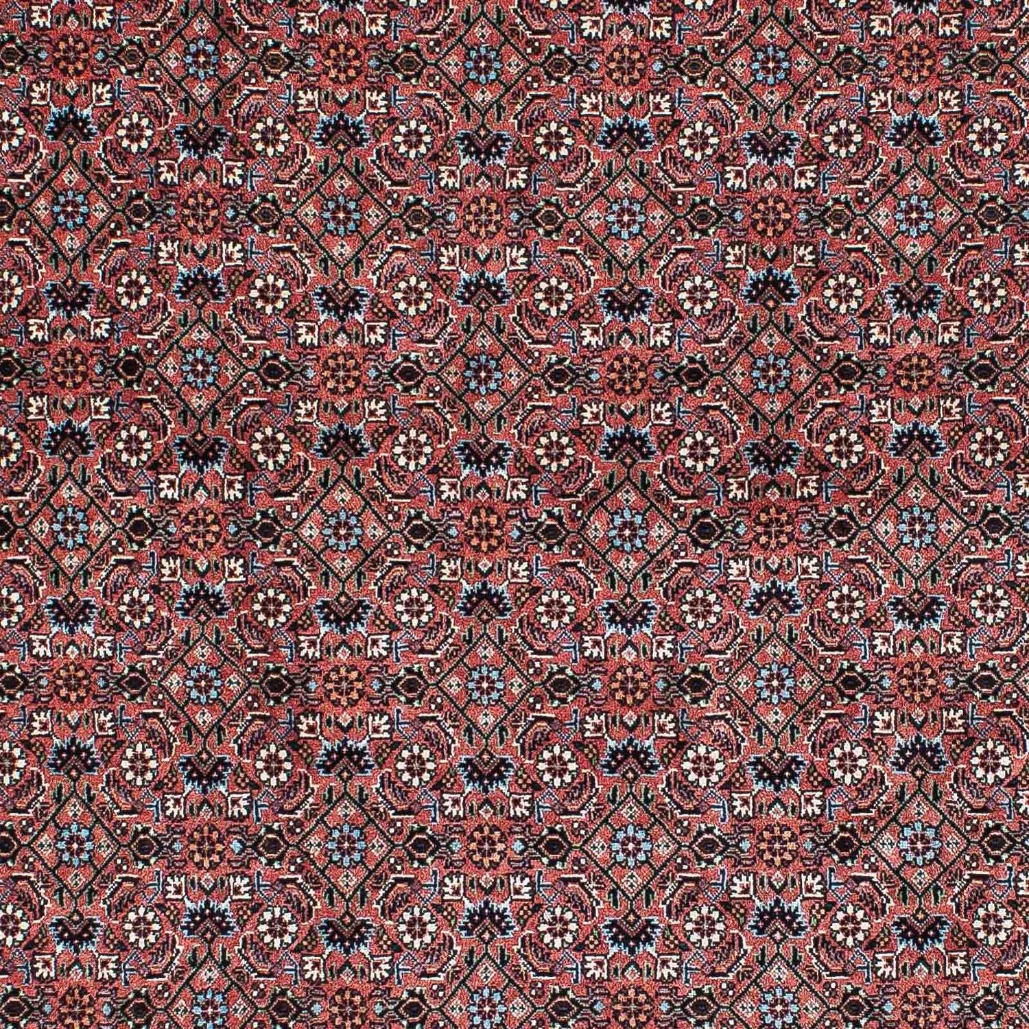 Persisk tæppe - Bijar - 210 x 132 cm - lysrød