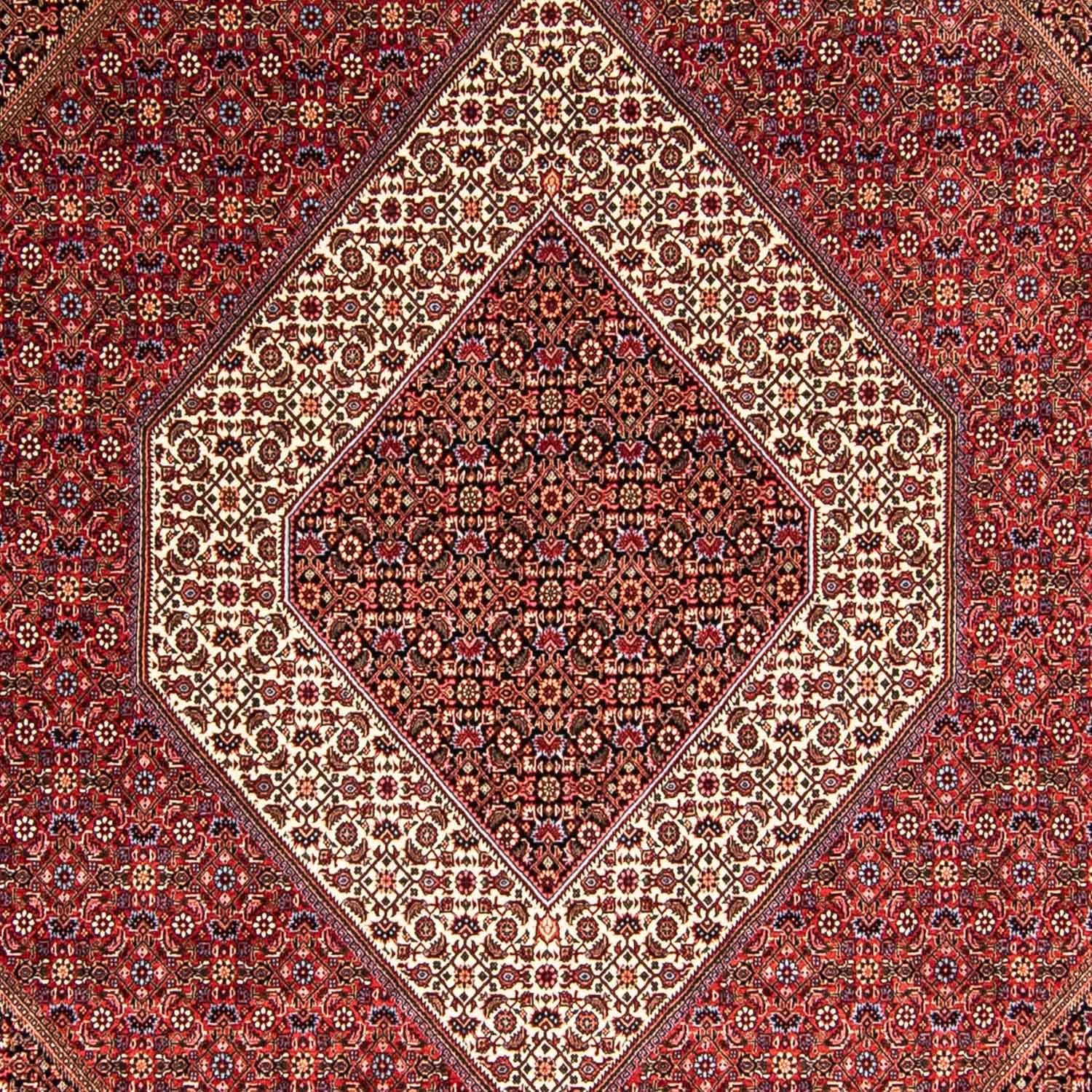 Persisk tæppe - Bijar - 345 x 252 cm - rød