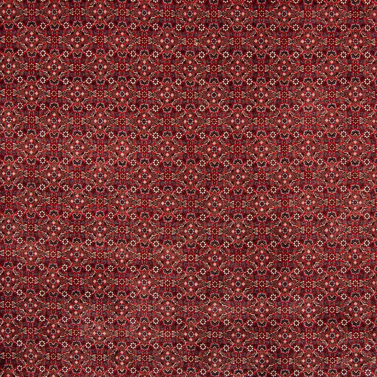 Persisk tæppe - Bijar - 400 x 308 cm - mørkerød