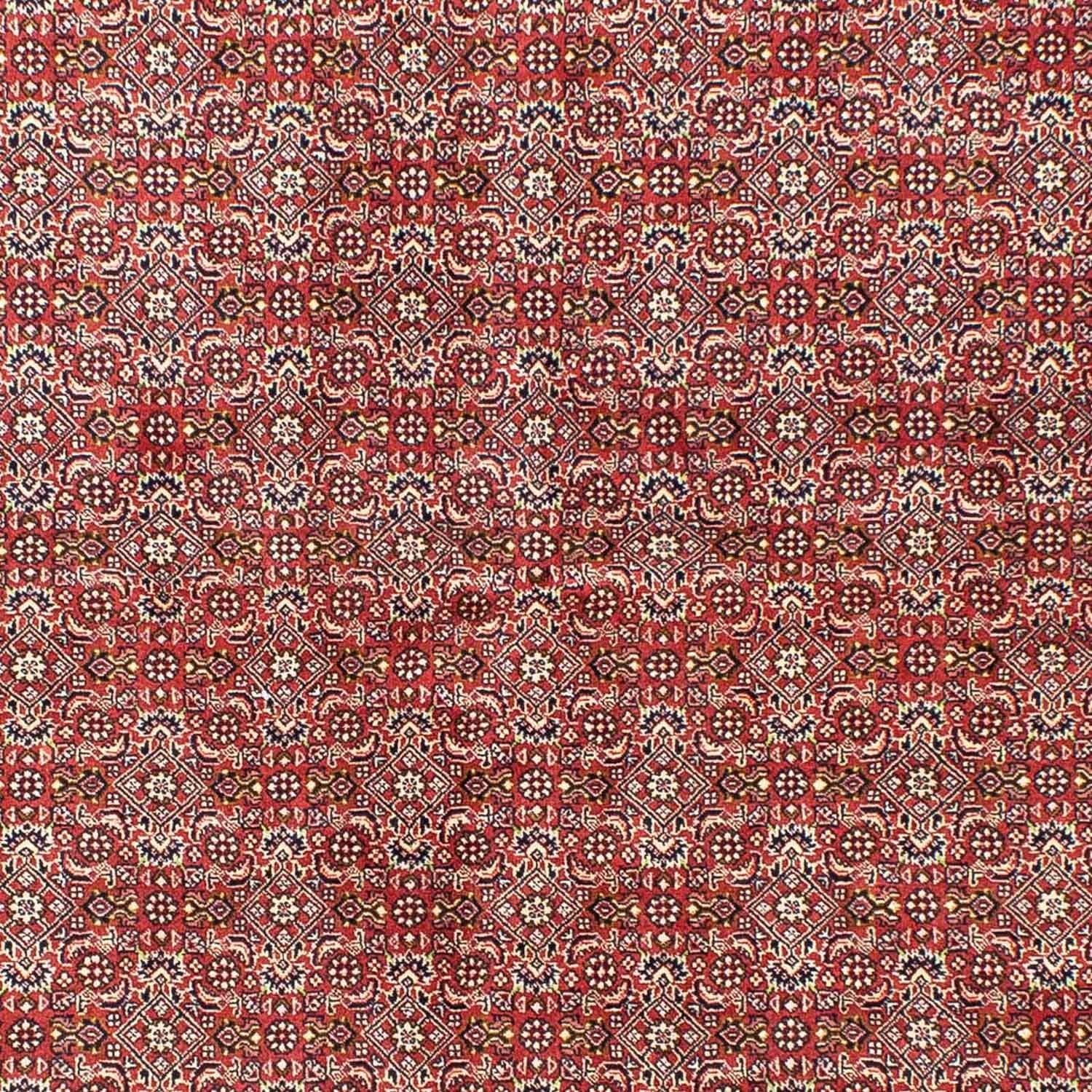 Persisk tæppe - Bijar - 245 x 170 cm - lysrød