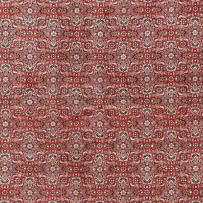 Persisk tæppe - Bijar - 245 x 170 cm - lysrød