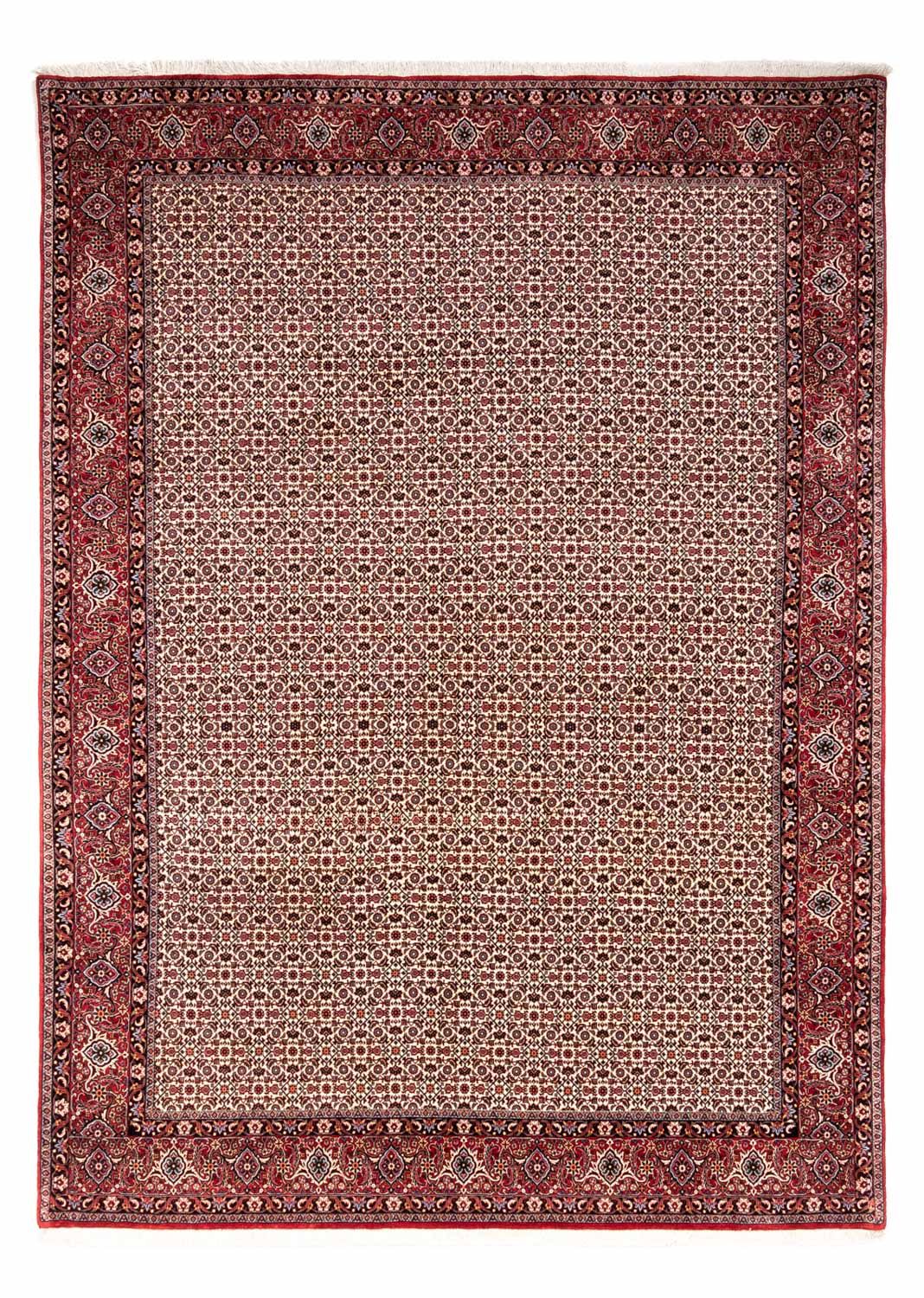 Persisk tæppe - Bijar - Royal - 343 x 253 cm - beige