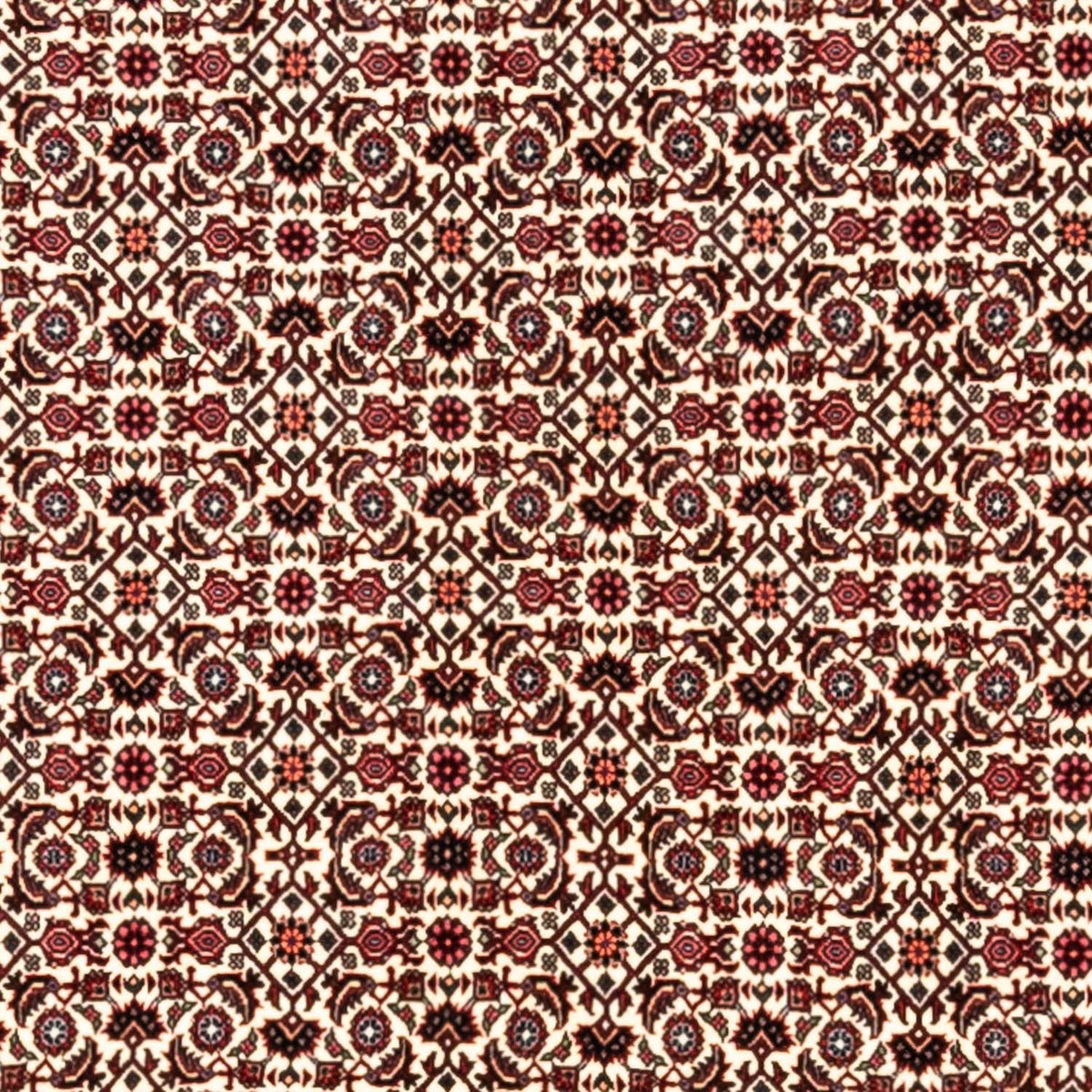 Persisk tæppe - Bijar - Royal - 343 x 253 cm - beige