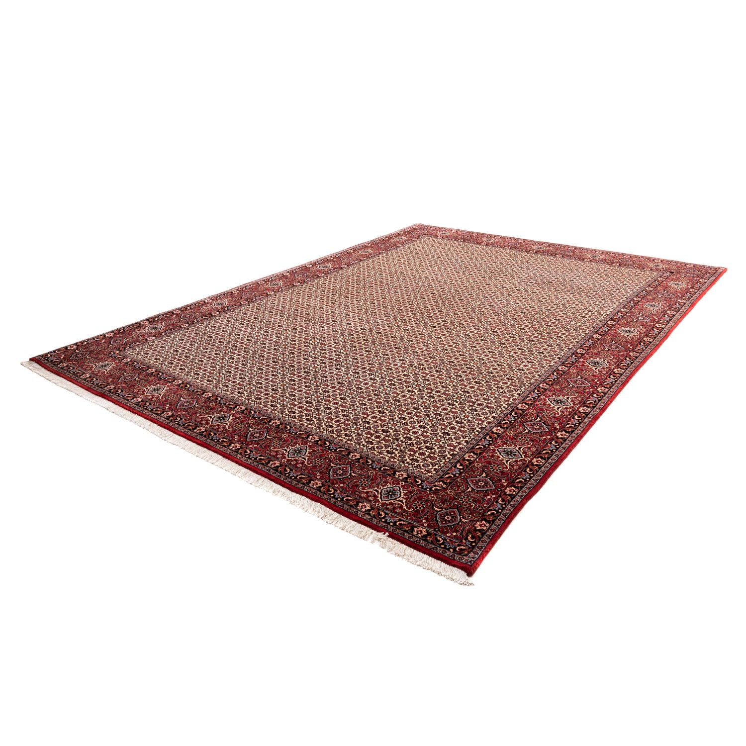 Persisk tæppe - Bijar - Royal - 343 x 253 cm - beige