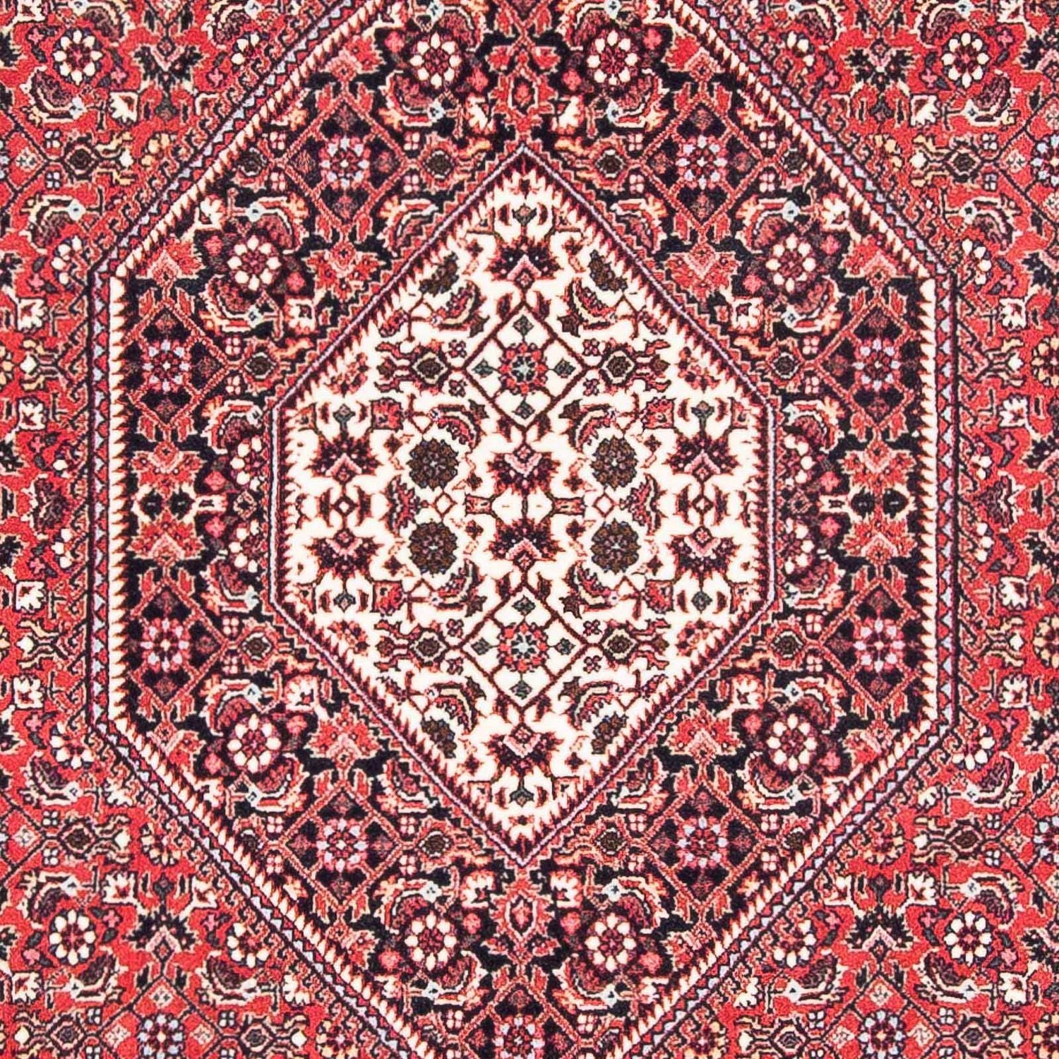 Persisk tæppe - Bijar - 185 x 111 cm - lysrød
